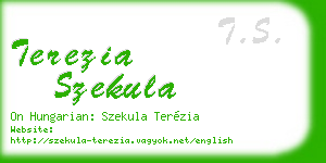 terezia szekula business card